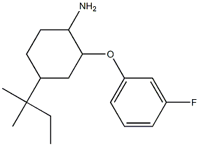 2-(3-fluorophenoxy)-4-(2-methylbutan-2-yl)cyclohexan-1-amine,,结构式