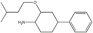 2-(3-methylbutoxy)-4-phenylcyclohexan-1-amine