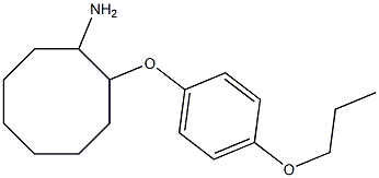 2-(4-propoxyphenoxy)cyclooctan-1-amine Structure