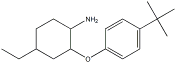 2-(4-tert-butylphenoxy)-4-ethylcyclohexan-1-amine Structure