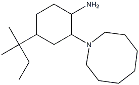 2-(azocan-1-yl)-4-(2-methylbutan-2-yl)cyclohexan-1-amine Structure