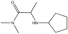 2-(cyclopentylamino)-N,N-dimethylpropanamide Structure