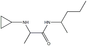 2-(cyclopropylamino)-N-(pentan-2-yl)propanamide 结构式