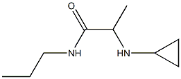 2-(cyclopropylamino)-N-propylpropanamide Struktur
