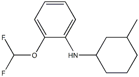 2-(difluoromethoxy)-N-(3-methylcyclohexyl)aniline