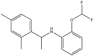 2-(difluoromethoxy)-N-[1-(2,4-dimethylphenyl)ethyl]aniline