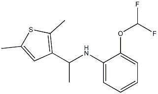 2-(difluoromethoxy)-N-[1-(2,5-dimethylthiophen-3-yl)ethyl]aniline|