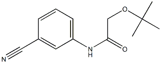  2-(tert-butoxy)-N-(3-cyanophenyl)acetamide