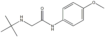 2-(tert-butylamino)-N-(4-methoxyphenyl)acetamide Structure