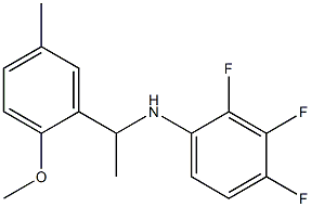 2,3,4-trifluoro-N-[1-(2-methoxy-5-methylphenyl)ethyl]aniline Structure