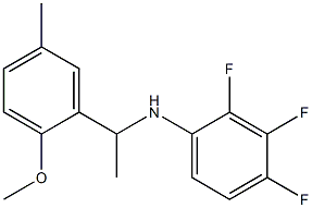 2,3,4-trifluoro-N-[1-(2-methoxy-5-methylphenyl)ethyl]aniline|