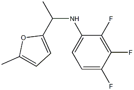 2,3,4-trifluoro-N-[1-(5-methylfuran-2-yl)ethyl]aniline|