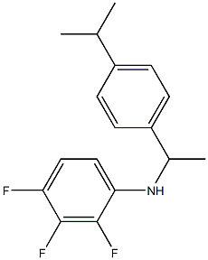 2,3,4-trifluoro-N-{1-[4-(propan-2-yl)phenyl]ethyl}aniline