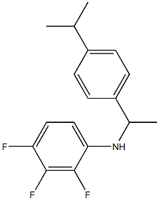 2,3,4-trifluoro-N-{1-[4-(propan-2-yl)phenyl]ethyl}aniline,,结构式