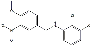 2,3-dichloro-N-[(4-methoxy-3-nitrophenyl)methyl]aniline,,结构式