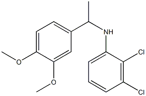 2,3-dichloro-N-[1-(3,4-dimethoxyphenyl)ethyl]aniline Structure