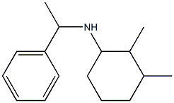 2,3-dimethyl-N-(1-phenylethyl)cyclohexan-1-amine|