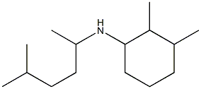 2,3-dimethyl-N-(5-methylhexan-2-yl)cyclohexan-1-amine