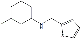 2,3-dimethyl-N-(thiophen-2-ylmethyl)cyclohexan-1-amine 结构式