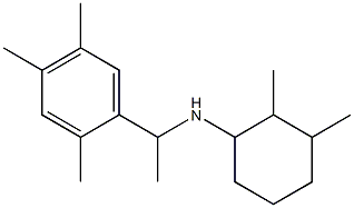 2,3-dimethyl-N-[1-(2,4,5-trimethylphenyl)ethyl]cyclohexan-1-amine