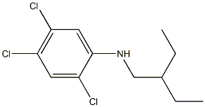 2,4,5-trichloro-N-(2-ethylbutyl)aniline Struktur