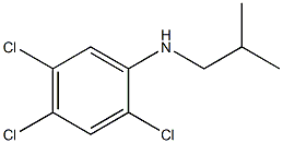 2,4,5-trichloro-N-(2-methylpropyl)aniline