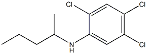 2,4,5-trichloro-N-(pentan-2-yl)aniline Structure