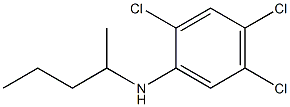 2,4,5-trichloro-N-(pentan-2-yl)aniline|