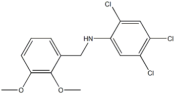 2,4,5-trichloro-N-[(2,3-dimethoxyphenyl)methyl]aniline,,结构式