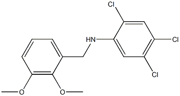  2,4,5-trichloro-N-[(2,3-dimethoxyphenyl)methyl]aniline