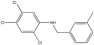 2,4,5-trichloro-N-[(3-methylphenyl)methyl]aniline Structure