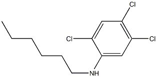 2,4,5-trichloro-N-hexylaniline,,结构式