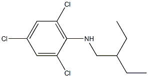 2,4,6-trichloro-N-(2-ethylbutyl)aniline Structure