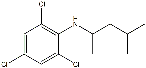 2,4,6-trichloro-N-(4-methylpentan-2-yl)aniline,,结构式