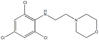 2,4,6-trichloro-N-[2-(morpholin-4-yl)ethyl]aniline 结构式