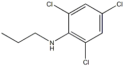 2,4,6-trichloro-N-propylaniline 化学構造式