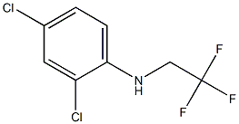 2,4-dichloro-N-(2,2,2-trifluoroethyl)aniline Struktur