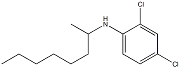 2,4-dichloro-N-(octan-2-yl)aniline Structure