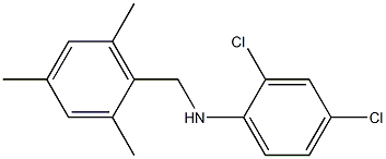 2,4-dichloro-N-[(2,4,6-trimethylphenyl)methyl]aniline Struktur