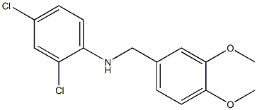 2,4-dichloro-N-[(3,4-dimethoxyphenyl)methyl]aniline Struktur