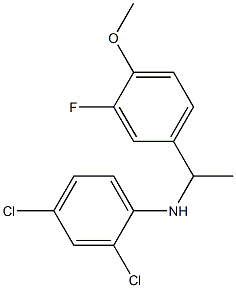 2,4-dichloro-N-[1-(3-fluoro-4-methoxyphenyl)ethyl]aniline,,结构式