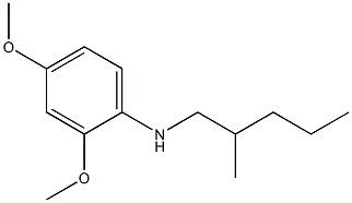 2,4-dimethoxy-N-(2-methylpentyl)aniline