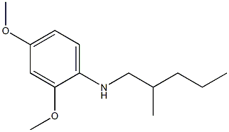  2,4-dimethoxy-N-(2-methylpentyl)aniline