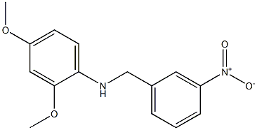 2,4-dimethoxy-N-[(3-nitrophenyl)methyl]aniline,,结构式