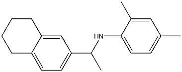 2,4-dimethyl-N-[1-(5,6,7,8-tetrahydronaphthalen-2-yl)ethyl]aniline,,结构式