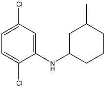 2,5-dichloro-N-(3-methylcyclohexyl)aniline Structure