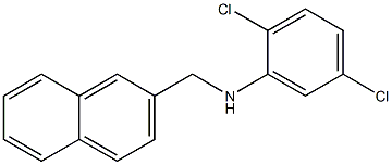 2,5-dichloro-N-(naphthalen-2-ylmethyl)aniline,,结构式