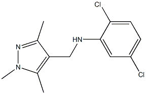 2,5-dichloro-N-[(1,3,5-trimethyl-1H-pyrazol-4-yl)methyl]aniline