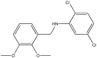 2,5-dichloro-N-[(2,3-dimethoxyphenyl)methyl]aniline