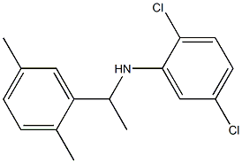 2,5-dichloro-N-[1-(2,5-dimethylphenyl)ethyl]aniline Structure